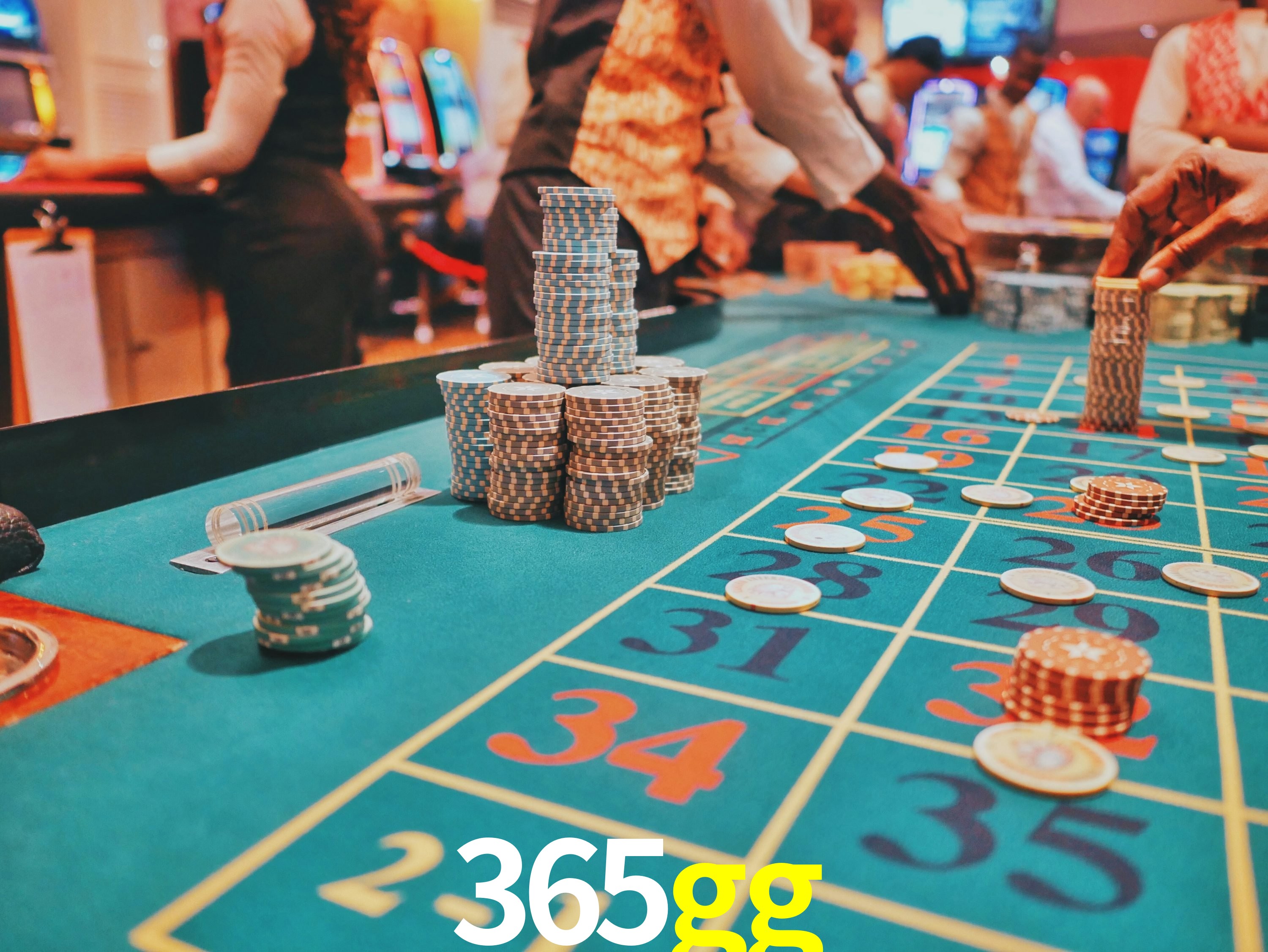 Experiência VIP 365gg